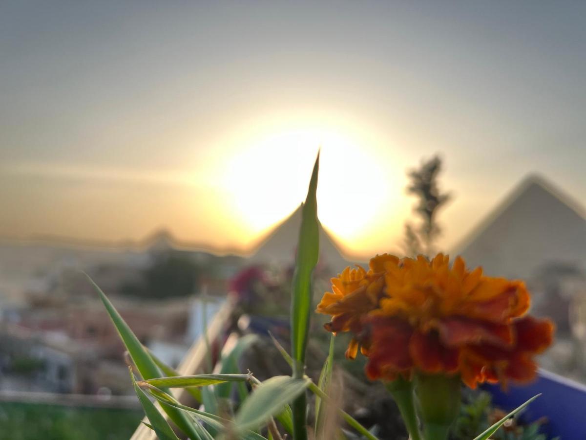 Pyramids Top Success Result Kafrat al Jabal Экстерьер фото